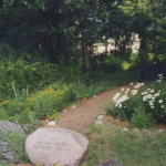 Img008 (2)