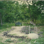 Img008