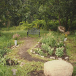 Img008 (1)