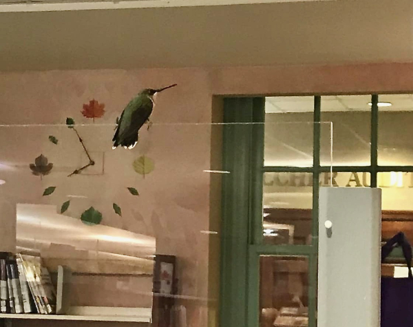 IMG_20200916_212650_095