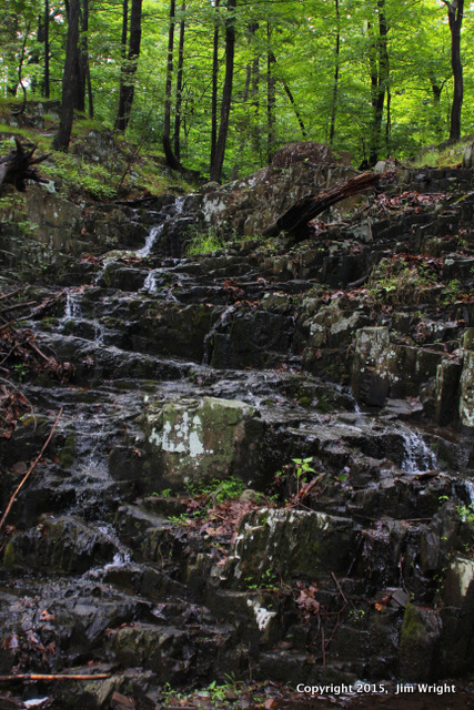 JW TNC HM 060315 trailDSCN9872