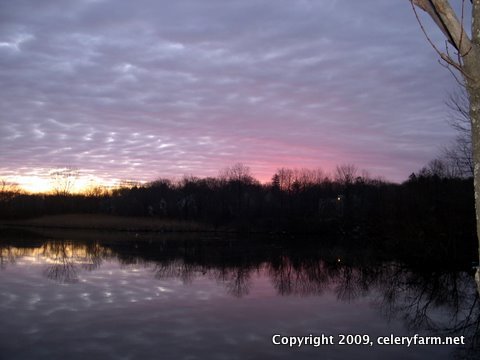 Dawn 3-24-07