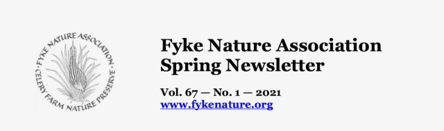 Screen Shot 2021-02-04 at 5.56.23 PM