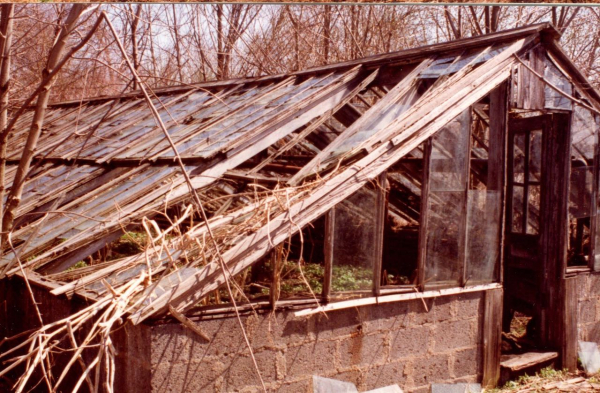 Bajor 5 img20201105_16425995 (2)