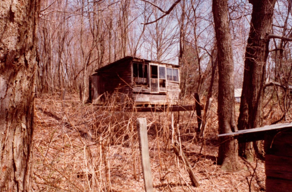 Bajor 5 img20201105_16425995 (2)