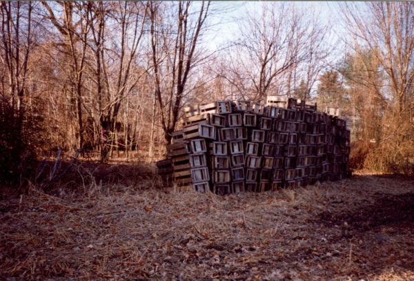 Bajor 5 img20201105_16425995 (2)