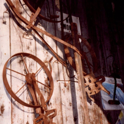 Bajor  9 img20201105_16385125 (2)