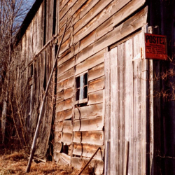 Bajor  2 img20201105_16481799 (1)