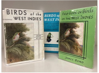 Screenshot 2025-05-01 at 12.04.14 PM (1)