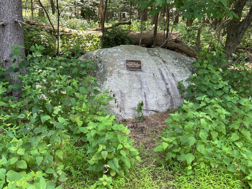 Stiles plaque IMG_9610