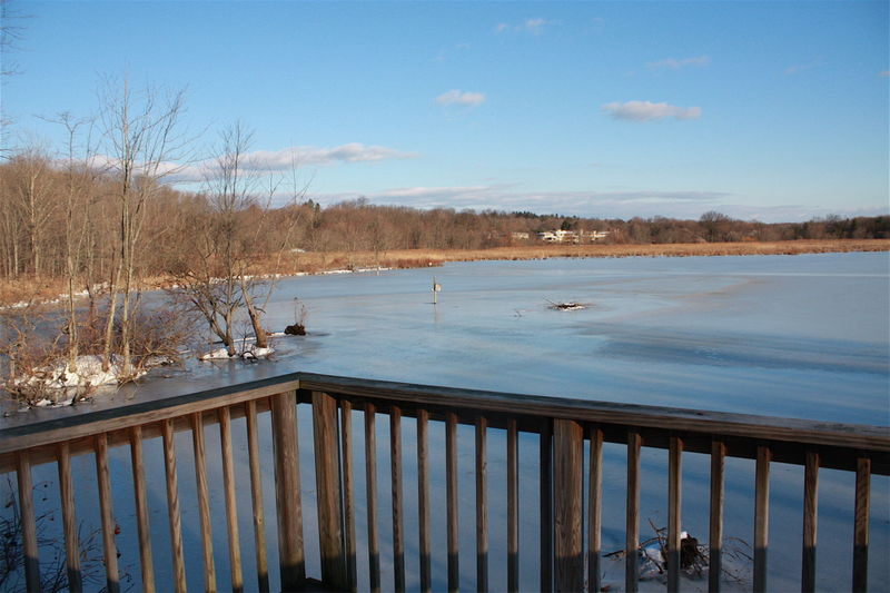 Celery Fram warden's Watch