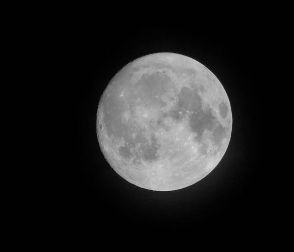 IMG_9352
