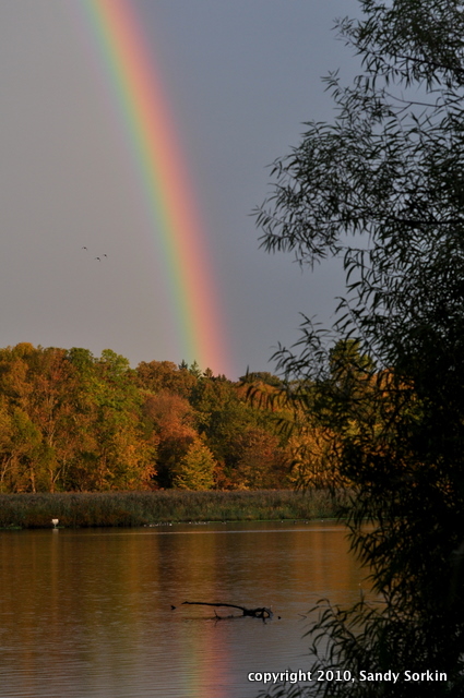 DSC_2407 Celery Farm-1