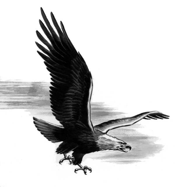 Bald Eagle John S. Wright Sr.