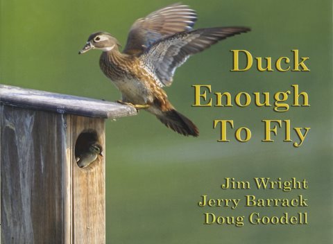 Duck Enough cover