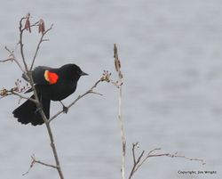 IMG_8793-001