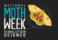 Screen Shot 2022-07-23 at 8.35.44 AM