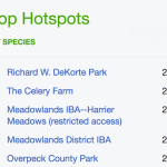 TOP HOT SPOTS BERGEN