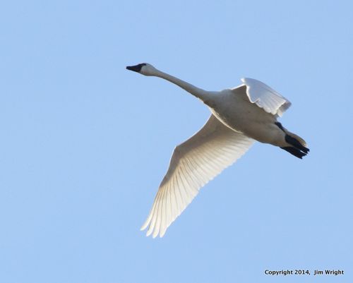IMG_6701-001