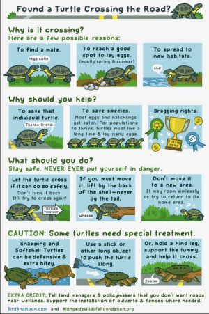 Screen Shot 2020-06-23 at 8.58.48 AM