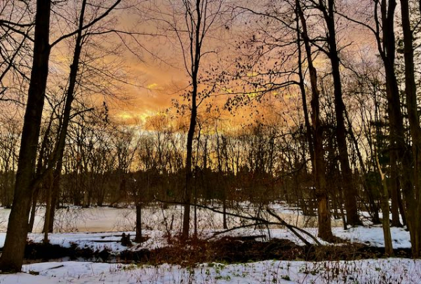 Dawn before Christmas JWrightIMG_0454 (1)