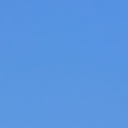 Eagle and GullMarch 3 2019 CF    1562