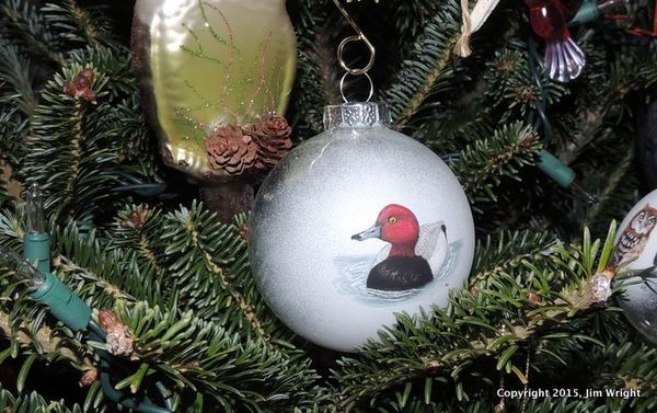 DSCN9305