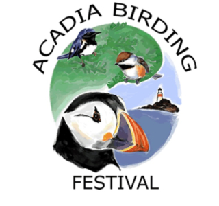 Screenshot 2024-05-05 at 6.46.33 AM