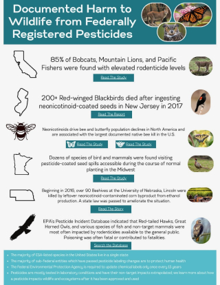 Documented Harm to Wildlife from Federally Registered Pesticides-page-001