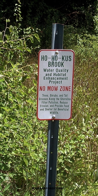Ho_ho_kus_brook_water_quality_and_habitat_enhancement_project321x640