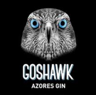 Screen Shot 2019-07-08 at 8.21.46 AM