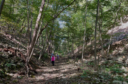 Screen Shot 2021-10-24 at 9.33.04 AM