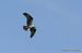 1-IMG_1323-001