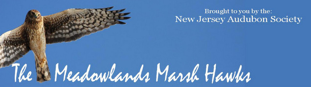 1-6a00e553bb7c208834017d42e27953970c