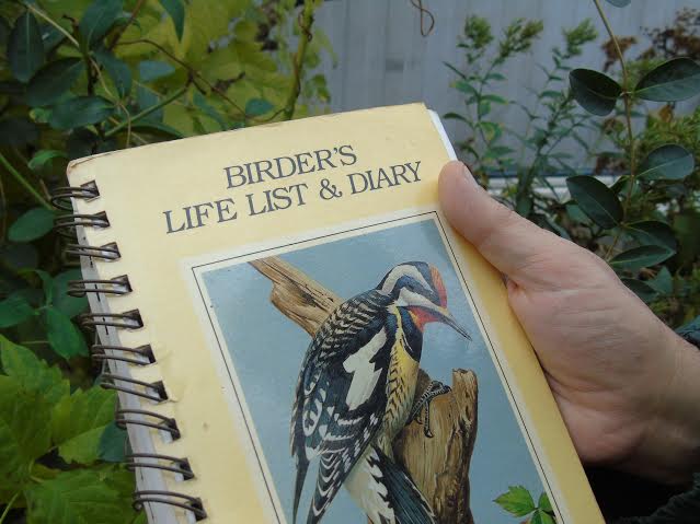 https://celeryfarm.net/wp-content/uploads/2025/09/birders-list-2.jpg