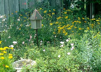 https://celeryfarm.net/wp-content/uploads/2025/09/wildlife-garden.jpg