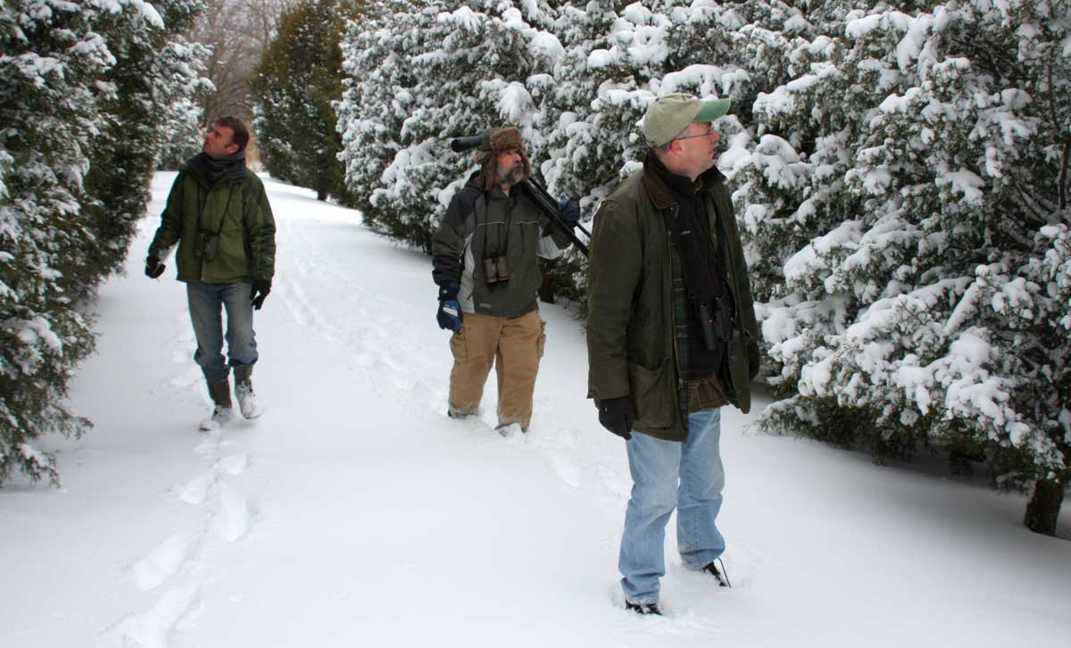 winter watchers