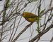 1-_MG_1606-002