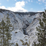Yellowstone Grand Canyon